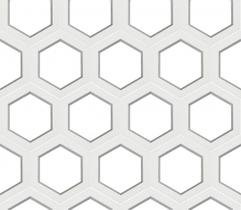 VCBS-010-1000 Hexagon 3